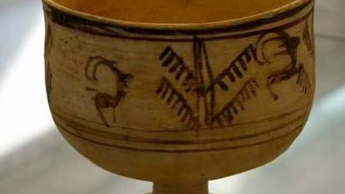 Photo of انیمه و انیمیشن